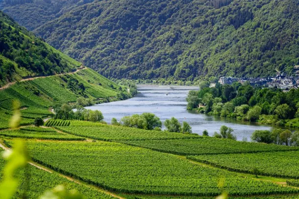 Vallee rhone